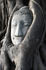 Image showing Head of a historical Sandstone Buddha