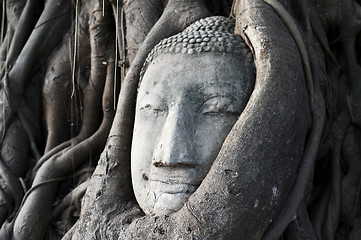 Image showing Head of a historical Sandstone Buddha