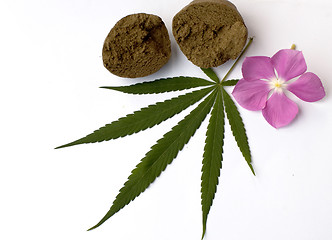 Image showing Cannabis