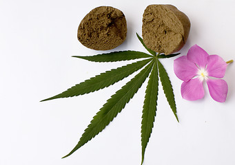 Image showing Cannabis 