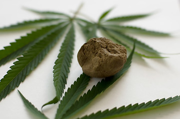 Image showing Cannabis 