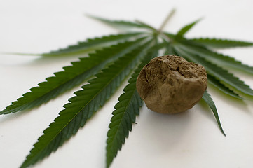 Image showing Cannabis 