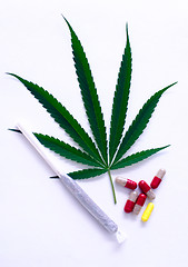 Image showing Cannabis 