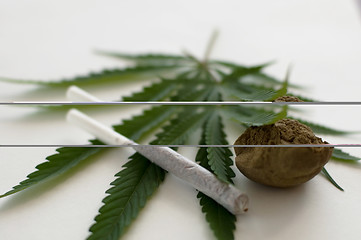 Image showing Cannabis 