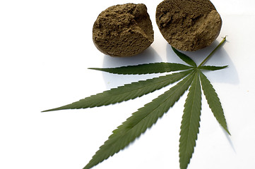 Image showing Cannabis 