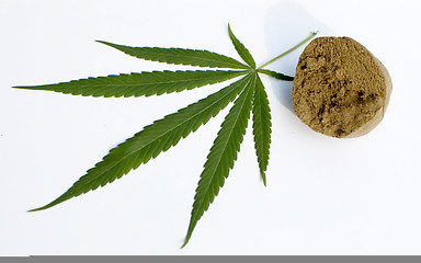 Image showing Cannabis 