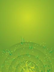 Image showing background green radiate