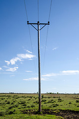 Image showing Electric lines