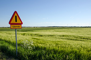 Image showing Pedestrian warning