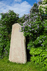 Image showing Rune stone at lilacs