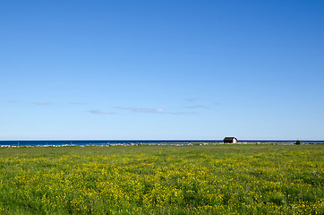 Image showing Blue and yellow landscape