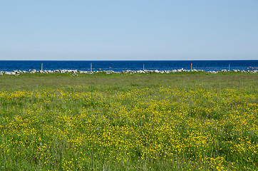 Image showing Blue and yellow view