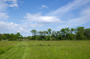 Image showing Green path towards a gate