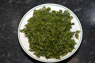 Image showing Chopped Parsley