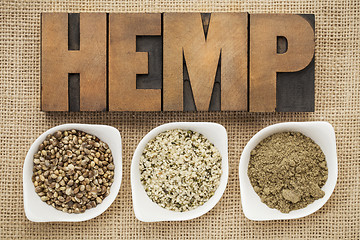 Image showing hemp seeds, hearts and prtotein