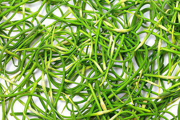 Image showing Background of fresh garlic scape