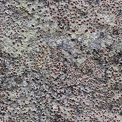 Image showing Rock with lichen seamless pattern for design