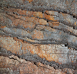 Image showing Slice of stone rocks geological background