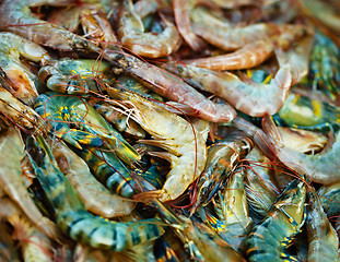 Image showing Shrimps on the market counter