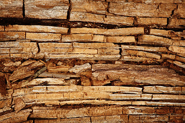 Image showing Rotten wood background