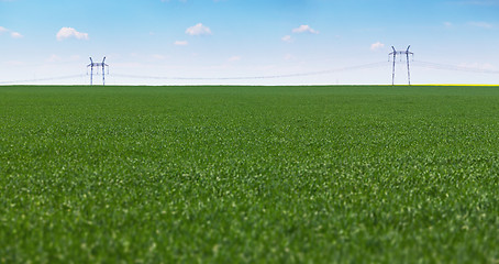 Image showing Meadow and power lines - industrial landscape