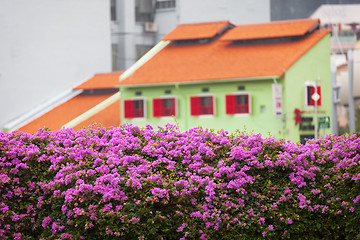 Image showing Usual old-fashioned architecture in Singapore