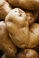 Image showing Large potatoes at the market close up