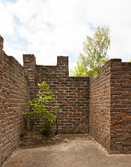 Image showing Plant little tree on old red bricks wall background