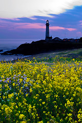 Image showing Pigeon Point Light House