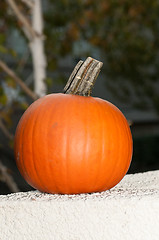 Image showing halloween