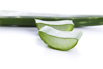 Image showing Aloe vera - herbal medicine 