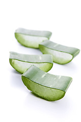 Image showing Aloe vera - herbal medicine 