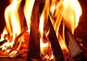 Image showing firewood burning in fire