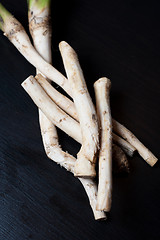 Image showing horseradish