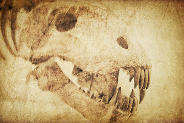 Image showing Spooky skull diabolical creatures. Vintage styled background