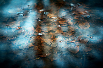 Image showing Closeup shot of transparent spring creek and last year`s leaves.