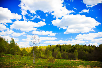 Image showing Spring forest and blue sky with white clouds