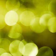 Image showing Green spring bokeh 