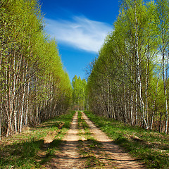 Image showing Country road under blue sky 