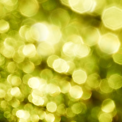 Image showing Beautiful nature green bokeh background