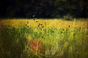 Image showing Clover flowers on meadow. Vintage styled shot