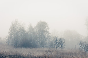 Image showing Misty Morning on the River