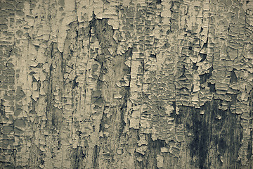 Image showing Cracked paint texture, sepia toned