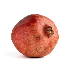 Image showing One pomegranate, looks natural, without correction microdamage. 