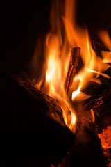 Image showing Closeup burning fire woods