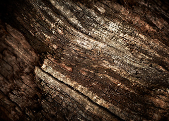 Image showing Old oak wood texture.