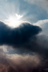 Image showing White dove in dramatic sky