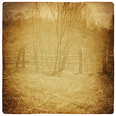 Image showing Vintage fence with gate