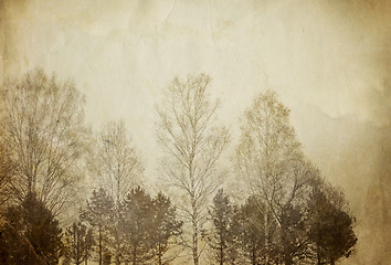 Image showing Trees on vintage paper sheet.