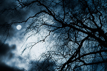 Image showing Scary dark scenery with naked trees, full moon and clouds